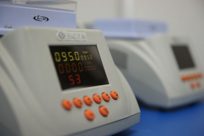 上戶口親子鑒定需提前做好準備